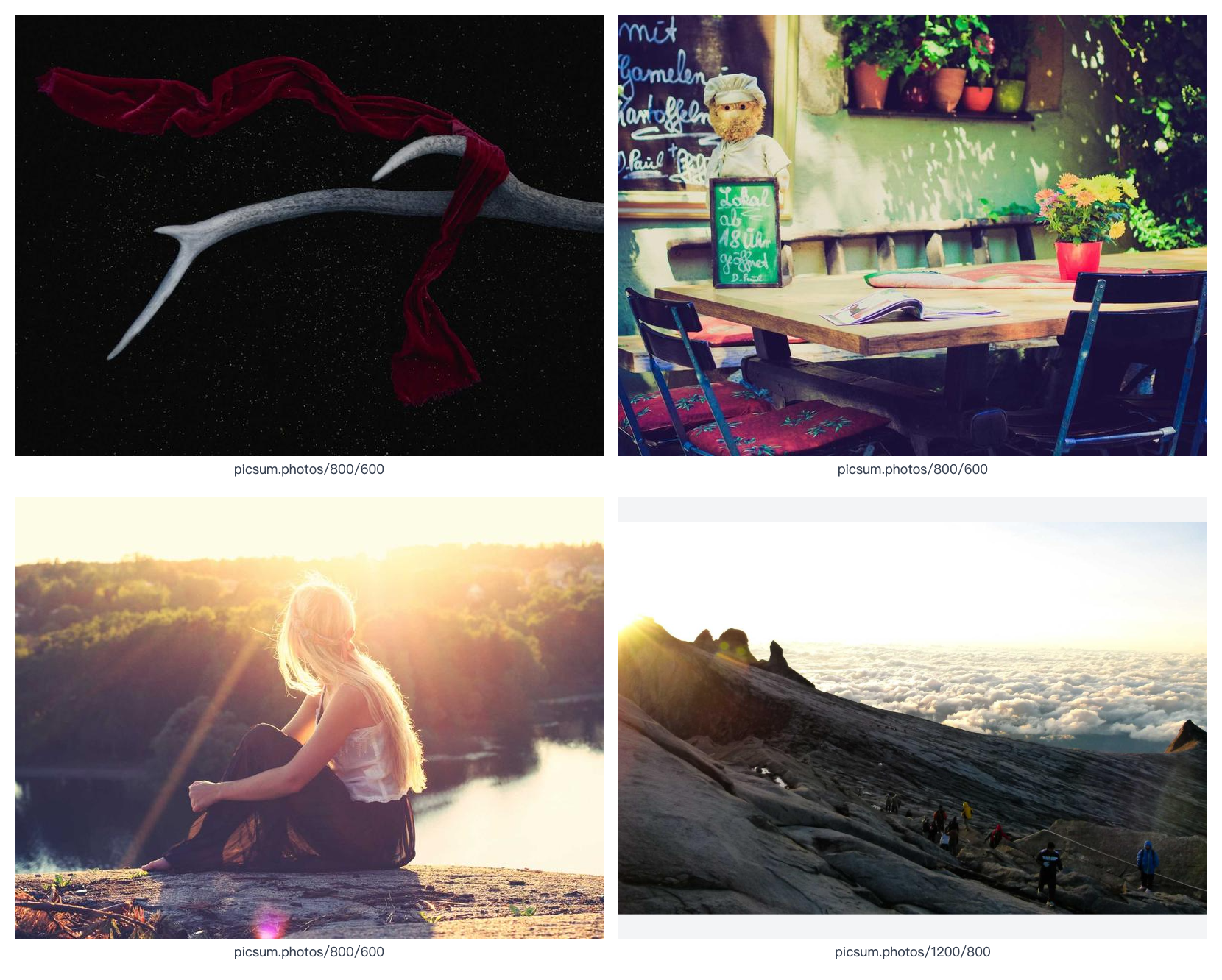 FastStone Image Viewer Alternative: Compare Multiple Images Online Without Installation